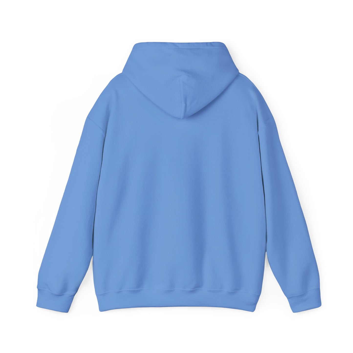 Inspirational Hooded Sweatshirt - "No Worries, God Got Me"