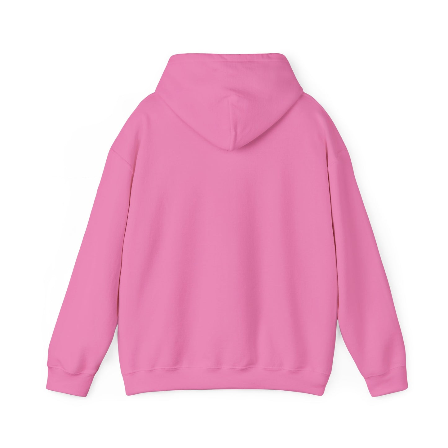 Inspirational Hooded Sweatshirt - "No Worries, God Got Me"