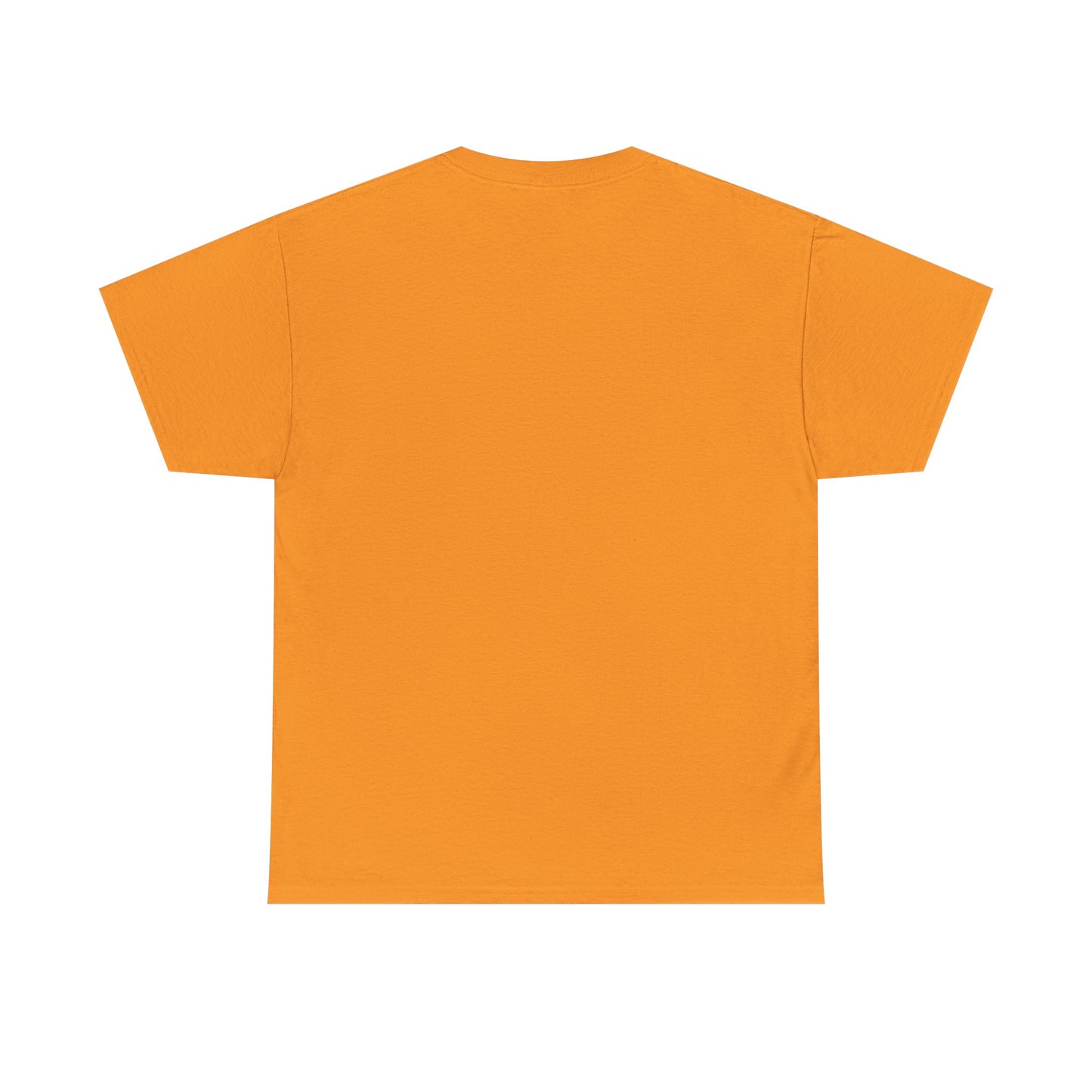 Caution I Have No Filter Unisex Heavy Cotton Tee