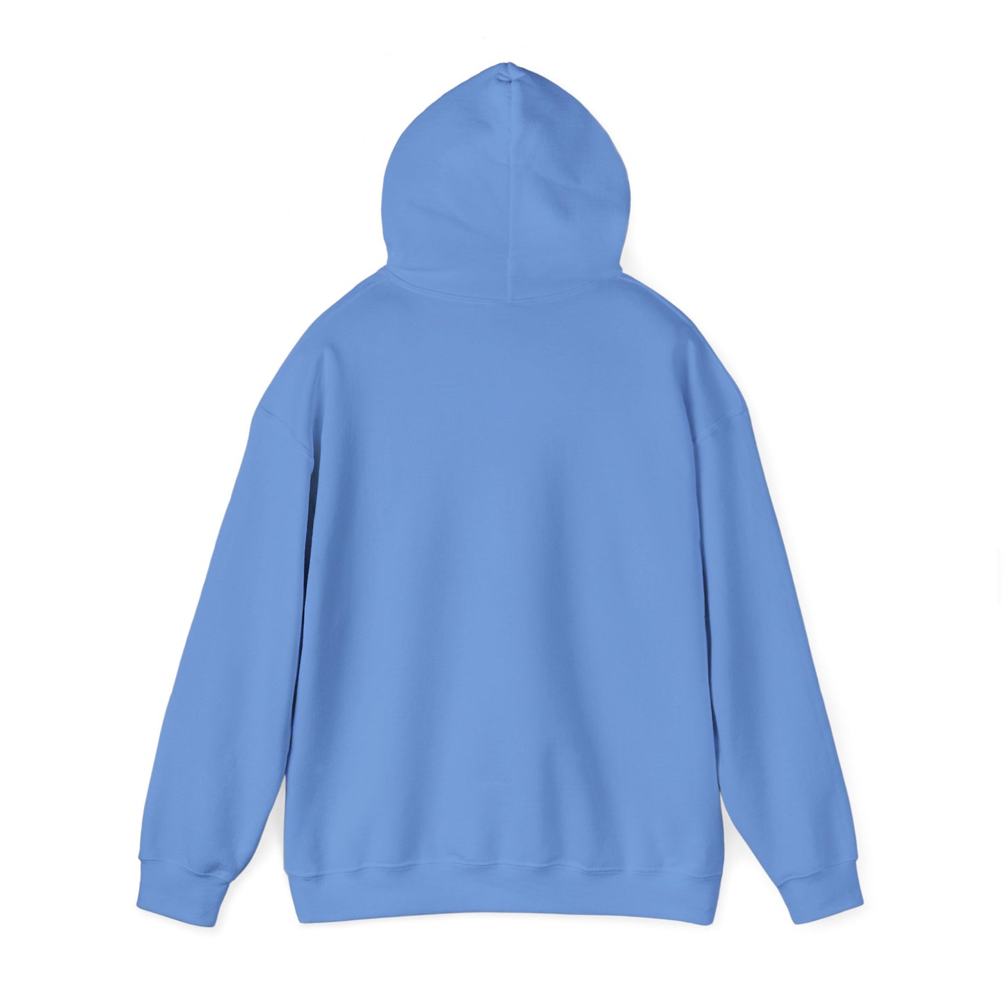 Inspirational Hooded Sweatshirt - "No Worries, God Got Me"