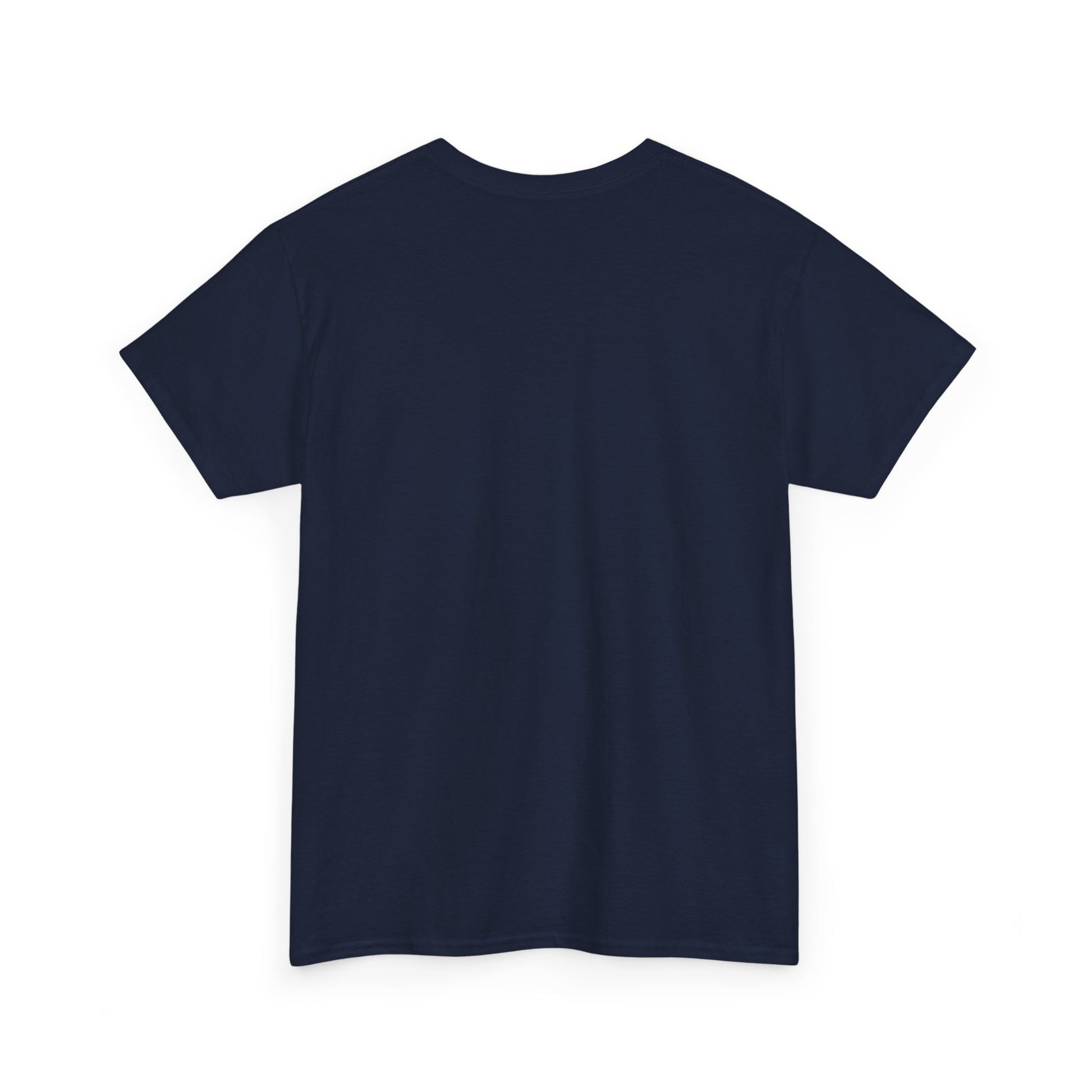 Passion is the Key Unisex Heavy Cotton Tee - Motivational T-Shirt for Inspiration and Abundance - GULLYDESIGN
