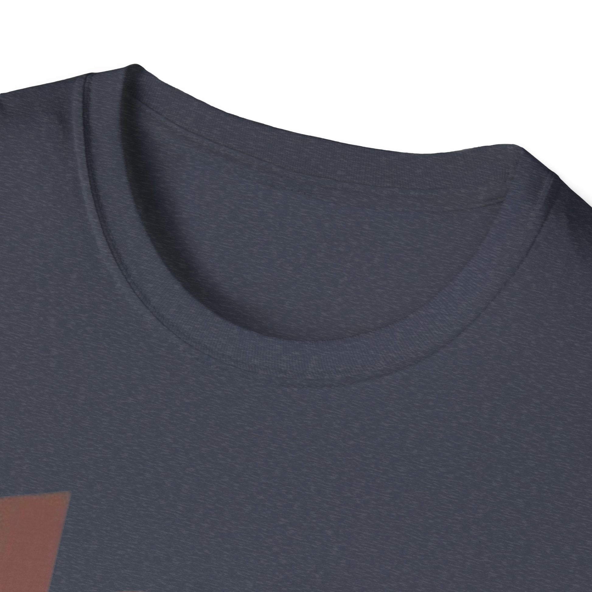 Black History T-Shirt - Unisex Softstyle - GULLYDESIGN