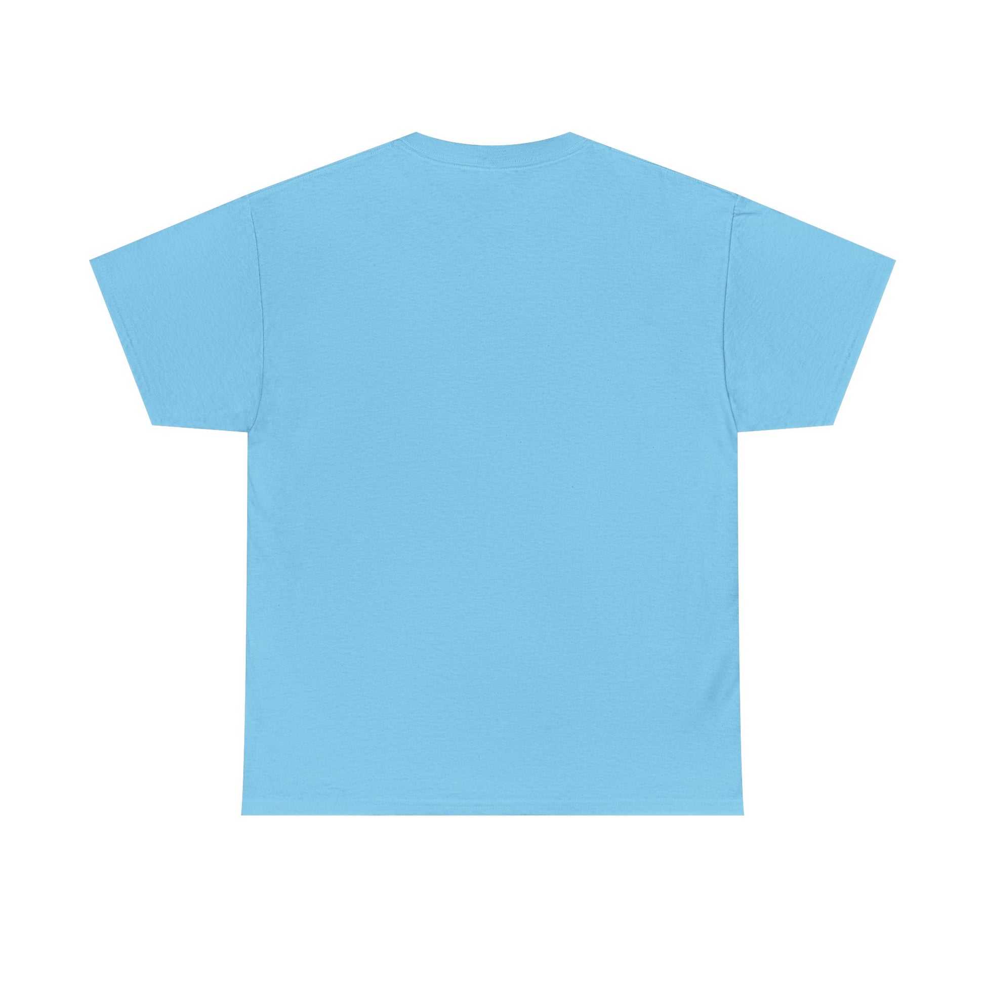 Baseball All Day Everyday Unisex Heavy Cotton Tee - GULLYDESIGN