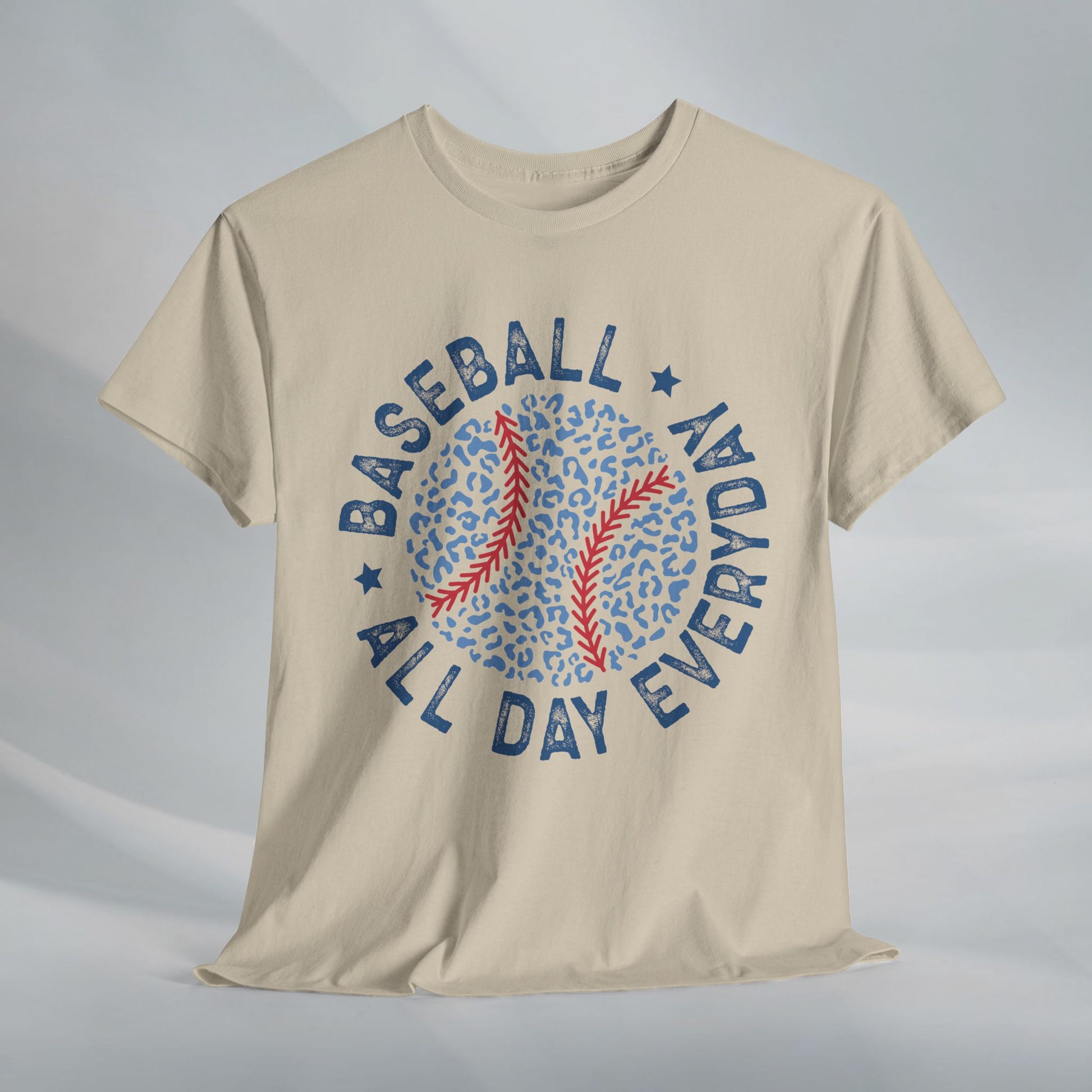 Baseball All Day Everyday Unisex Heavy Cotton Tee - GULLYDESIGN