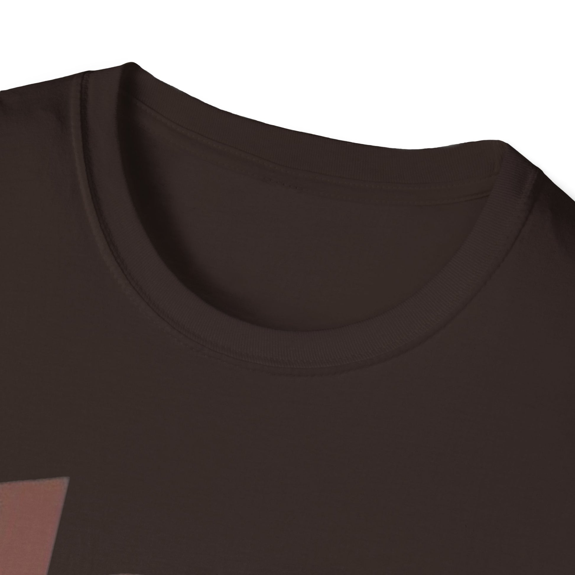 Black History T-Shirt - Unisex Softstyle - GULLYDESIGN