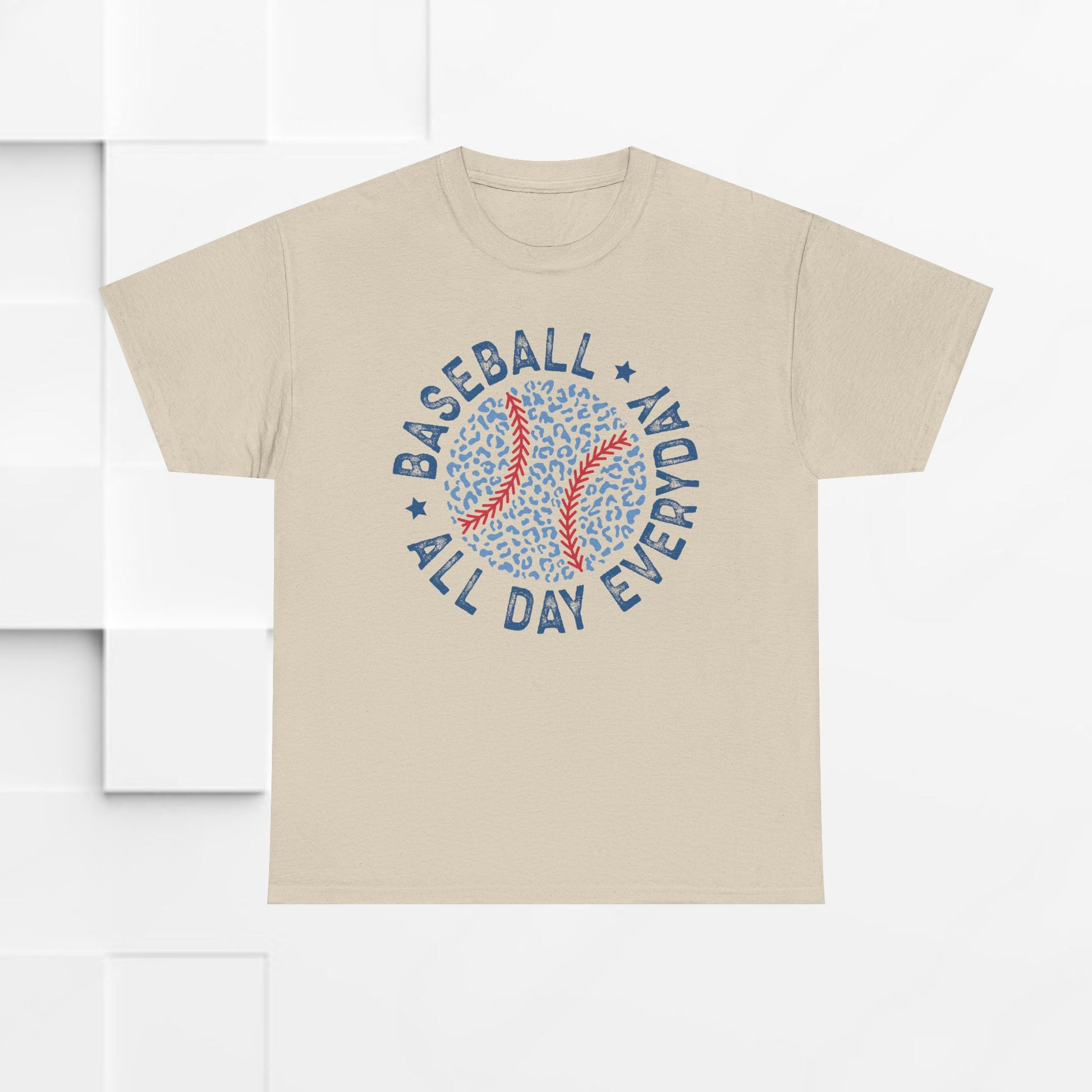 Baseball All Day Everyday Unisex Heavy Cotton Tee - GULLYDESIGN