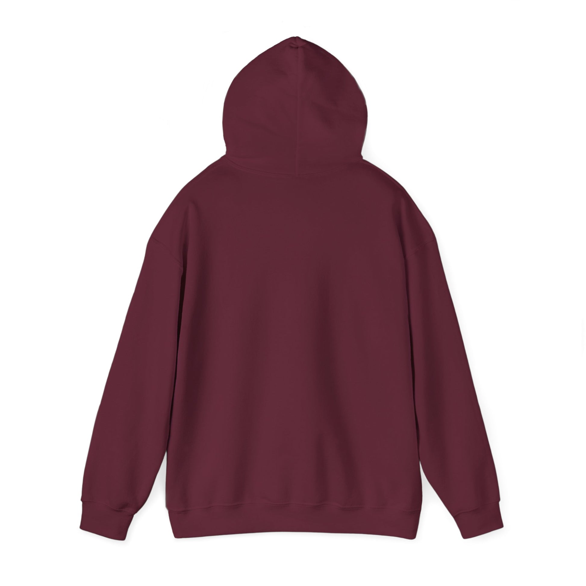 Inspirational Hooded Sweatshirt - "Pray, Trust, Wait, Repeat" - GULLYDESIGN
