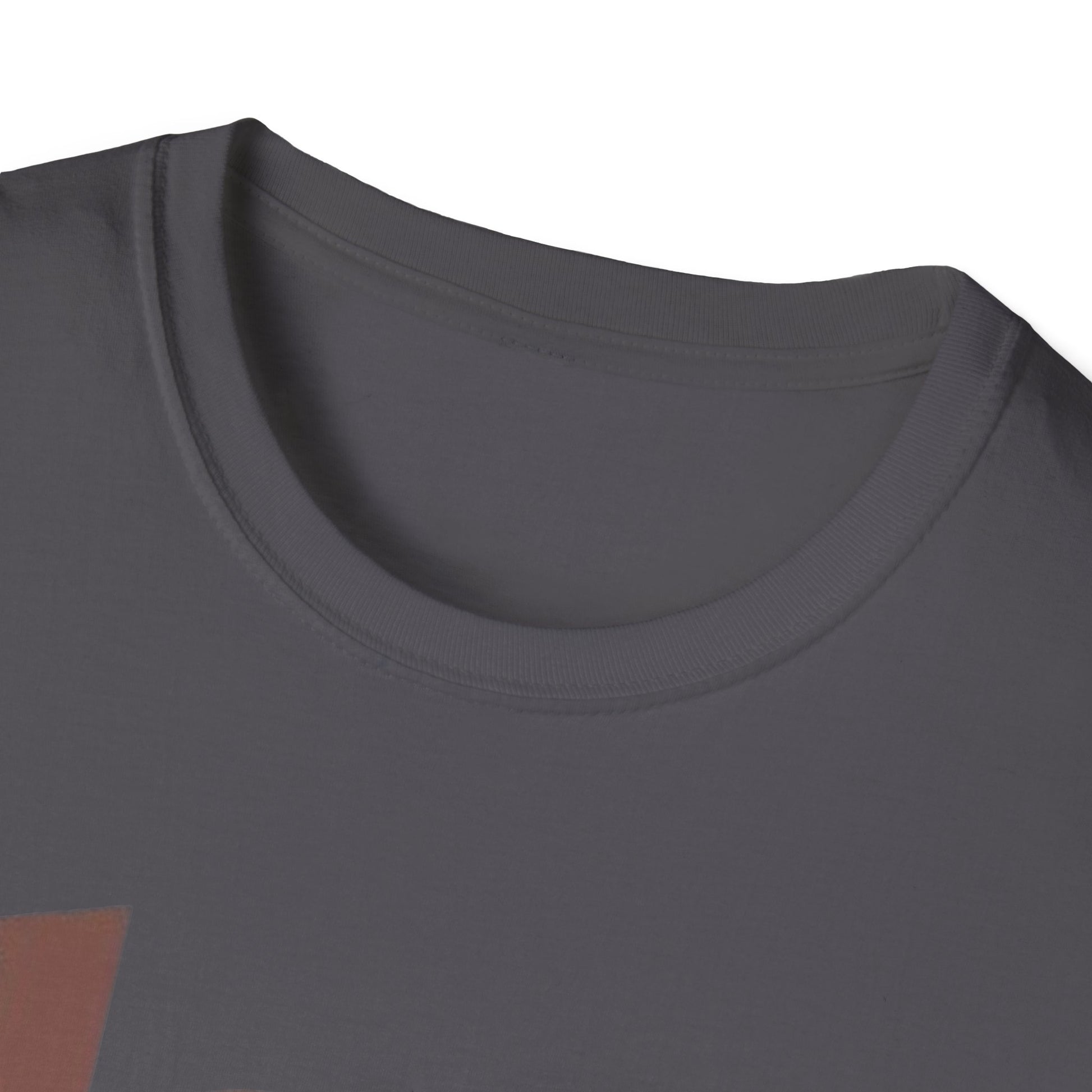 Black History T-Shirt - Unisex Softstyle - GULLYDESIGN