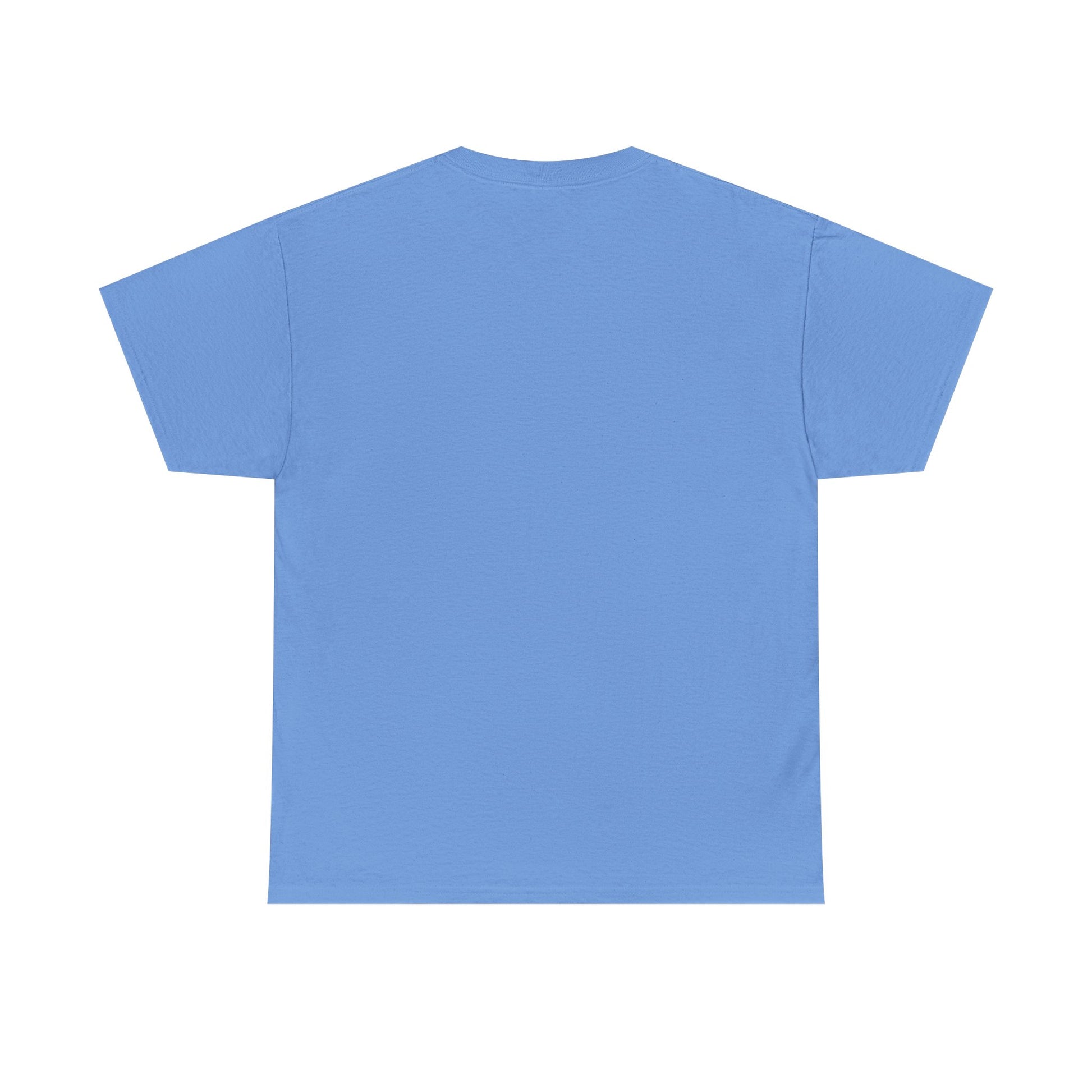 Inspirational Unisex Heavy Cotton Tee - 'Be The Light' Matthew 5:14 - GULLYDESIGN
