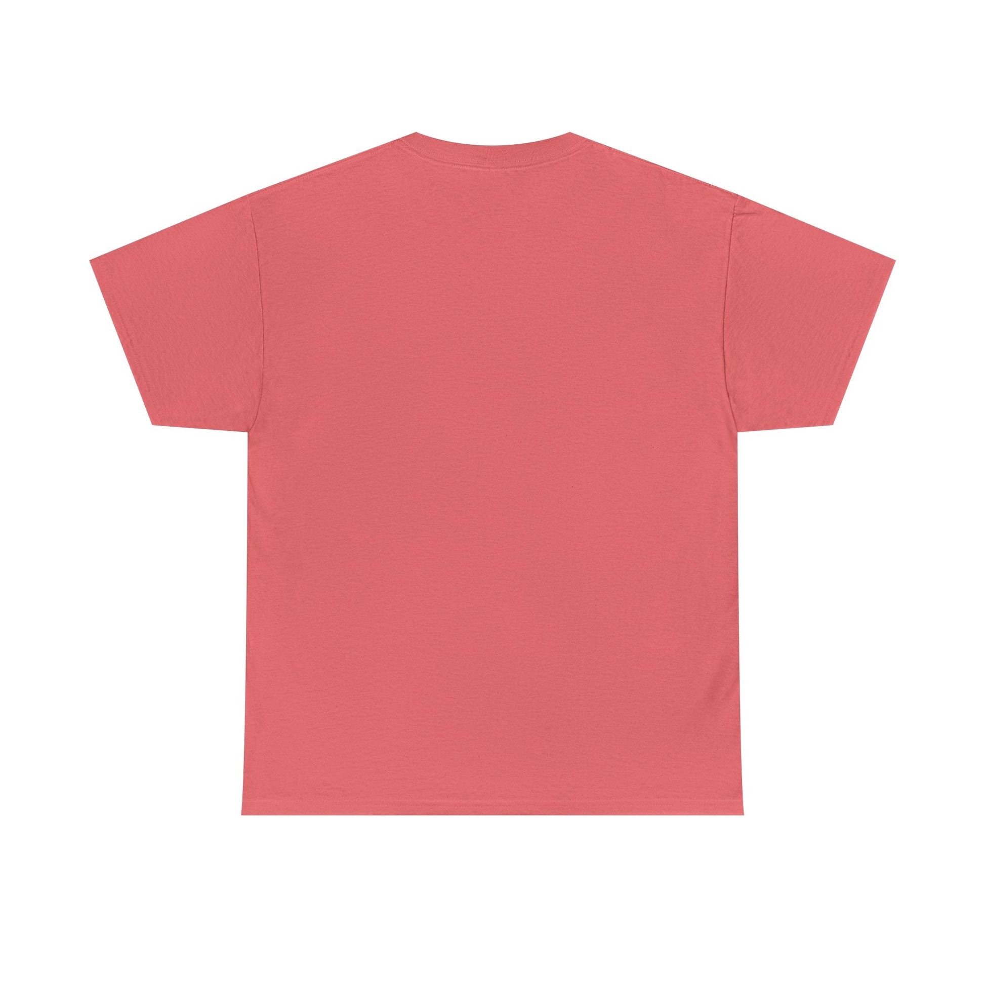 Busy Raising Ballers Unisex Heavy Cotton Tee - GULLYDESIGN