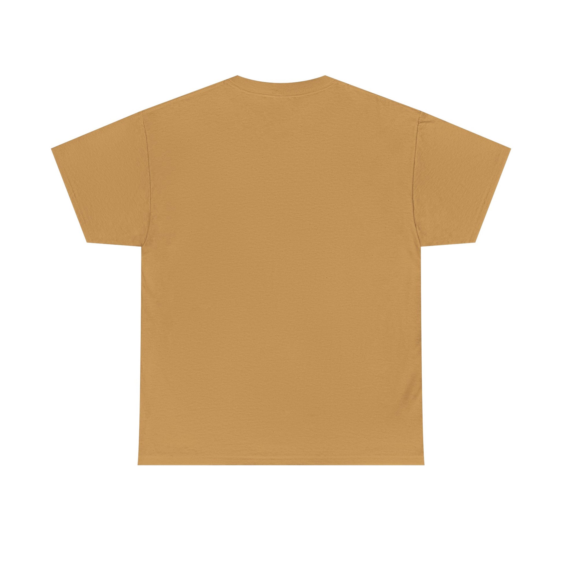 Inspirational Unisex Heavy Cotton Tee - 'Be The Light' Matthew 5:14 - GULLYDESIGN