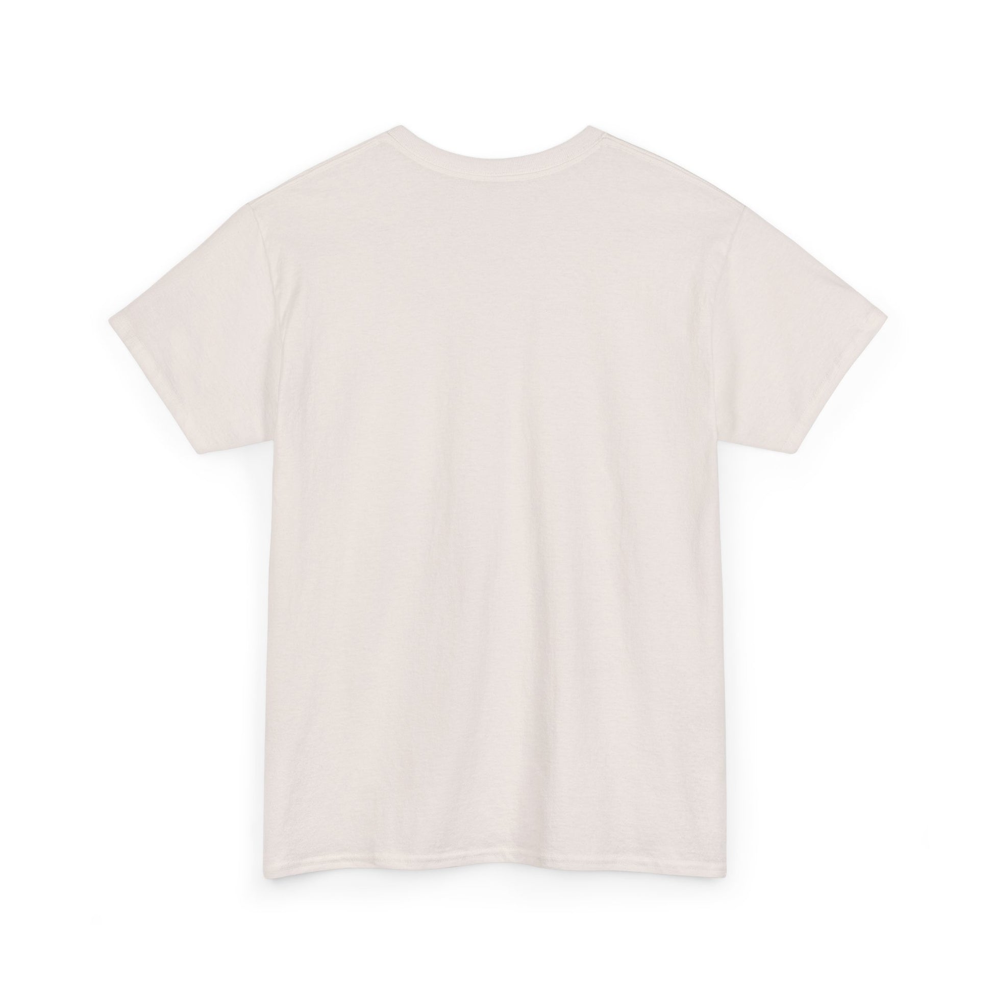 Inspirational Unisex Heavy Cotton Tee - 'Be The Light' Matthew 5:14 - GULLYDESIGN