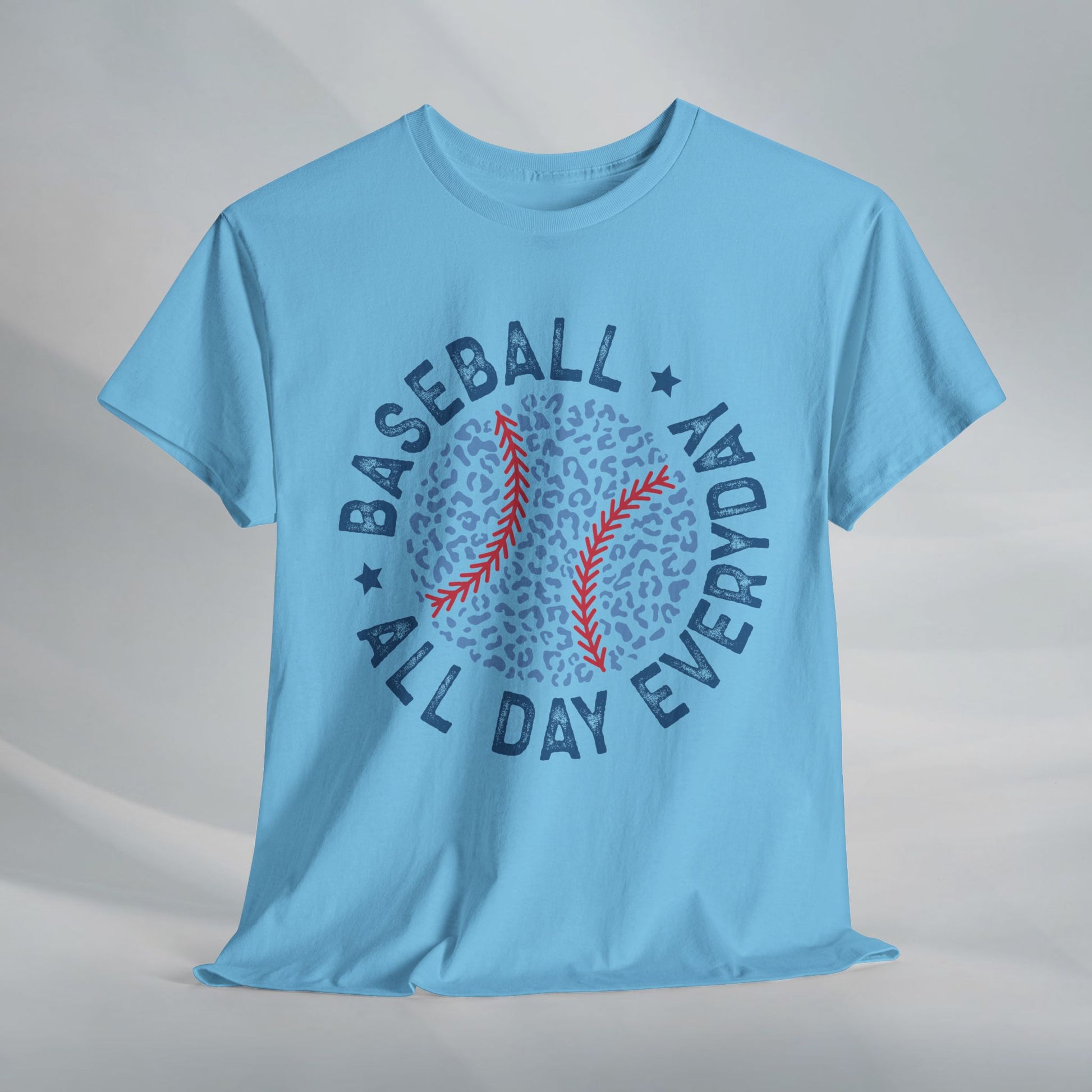 Baseball All Day Everyday Unisex Heavy Cotton Tee - GULLYDESIGN