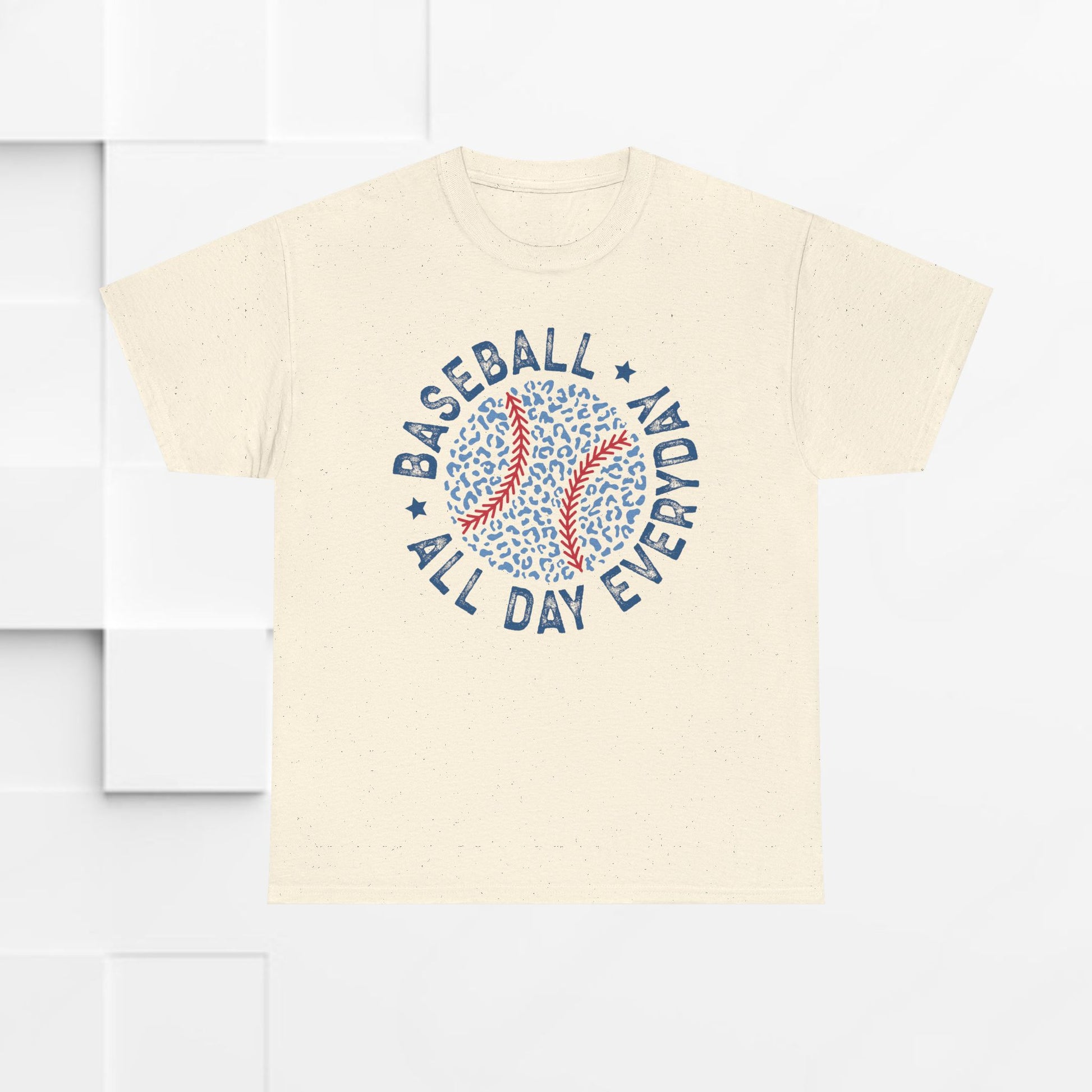 Baseball All Day Everyday Unisex Heavy Cotton Tee - GULLYDESIGN
