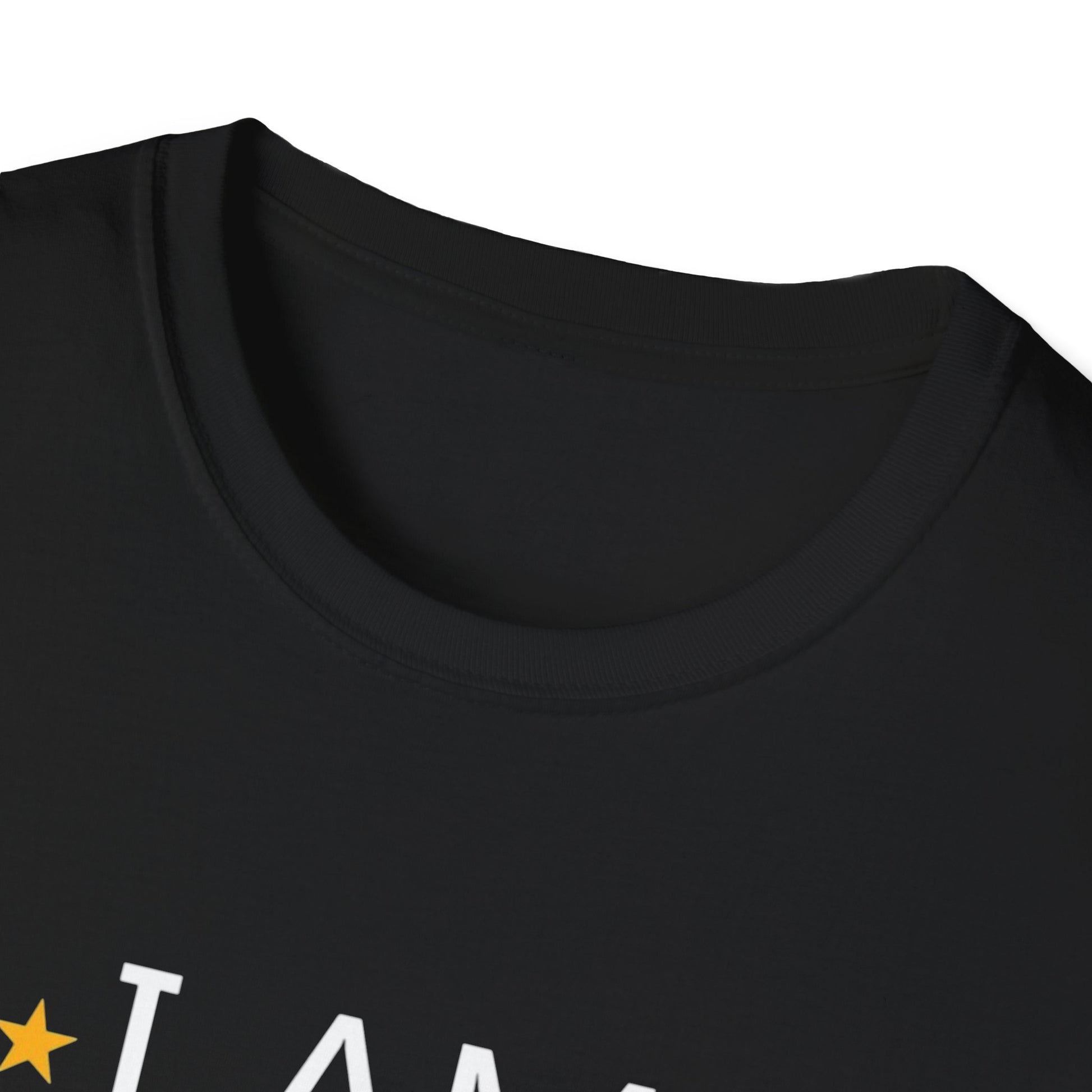 Black History Unisex T-Shirt - I Am BLACK History - GULLYDESIGN