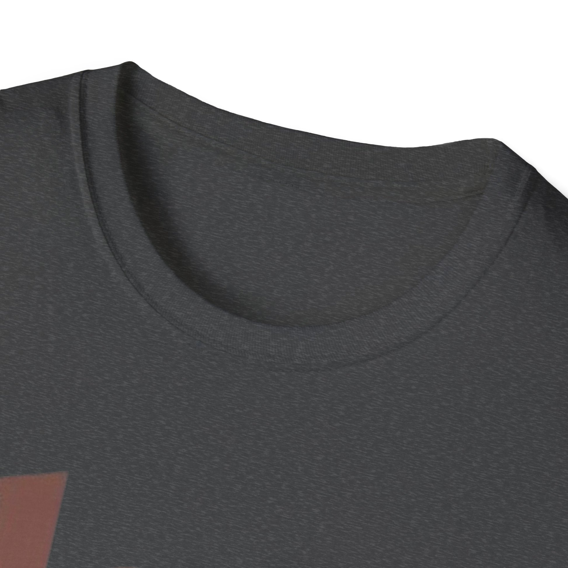 Black History T-Shirt - Unisex Softstyle - GULLYDESIGN