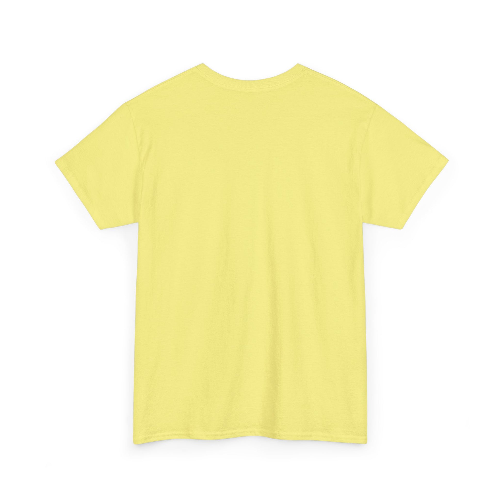 Inspirational Unisex Heavy Cotton Tee - 'Be The Light' Matthew 5:14 - GULLYDESIGN