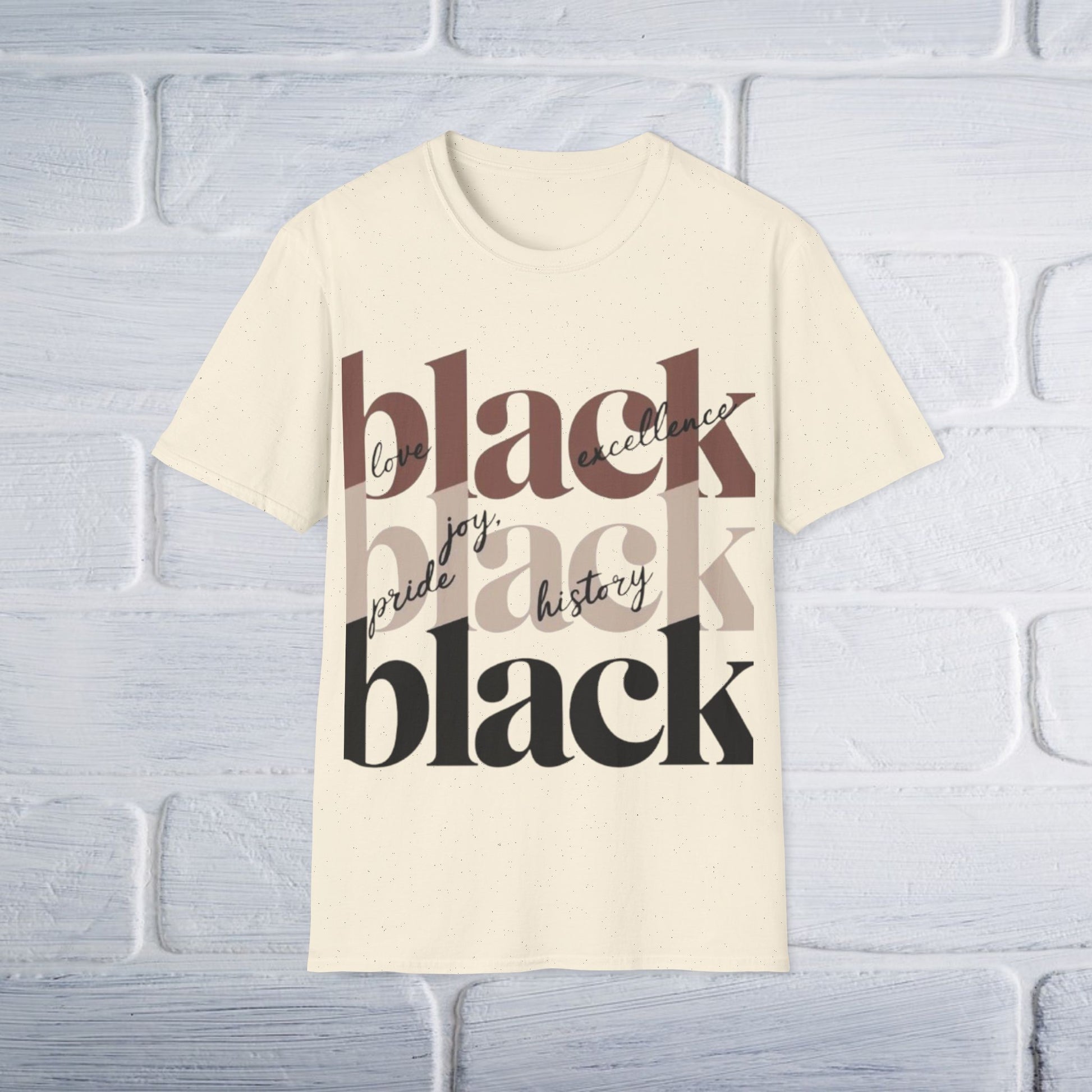 Black History T-Shirt - Unisex Softstyle - GULLYDESIGN