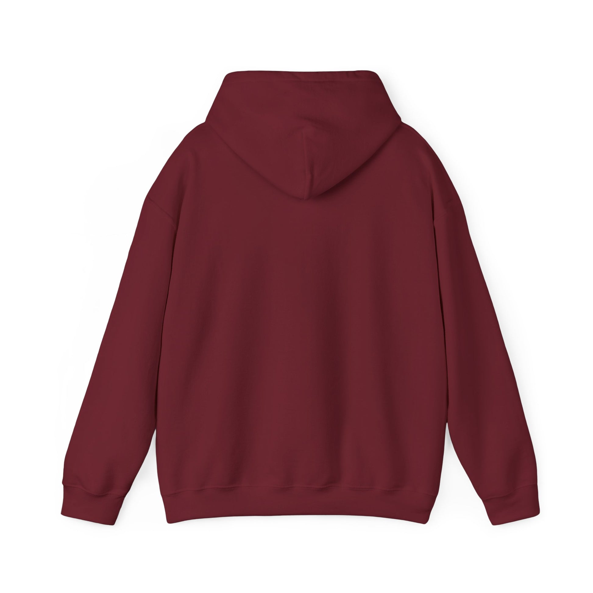 Inspirational Jesus Hoodie for Faith & Comfort - GULLYDESIGN