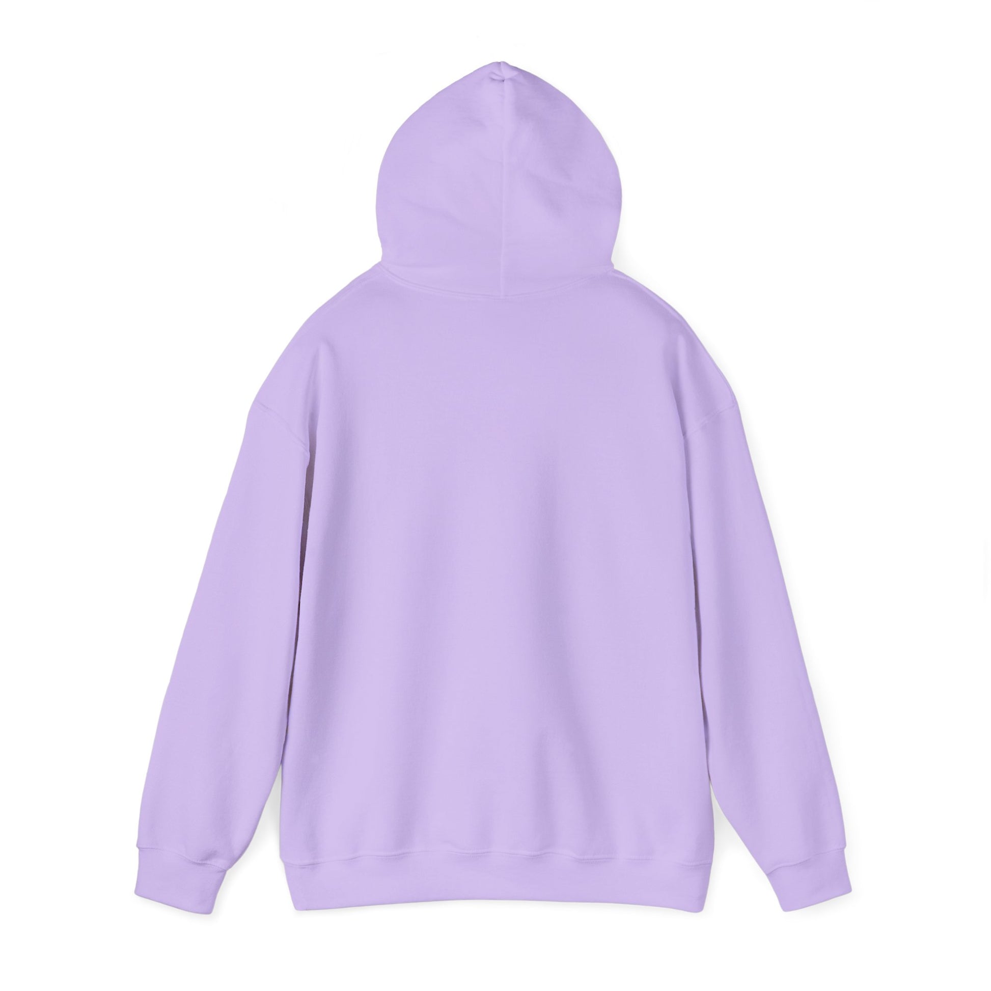 Unisex Heavy Blend™ Hooded Sweatshirt - GULLYDESIGN
