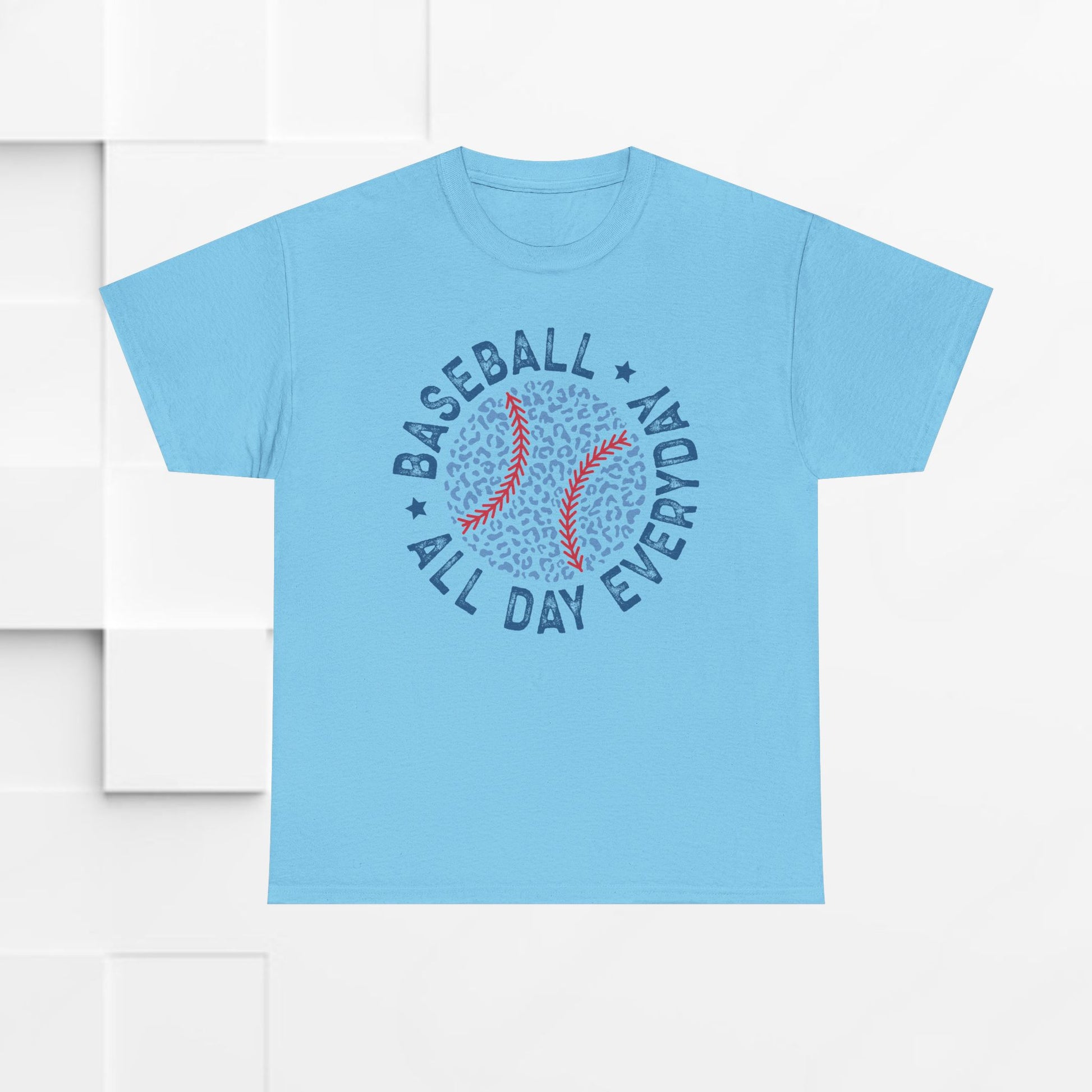 Baseball All Day Everyday Unisex Heavy Cotton Tee - GULLYDESIGN