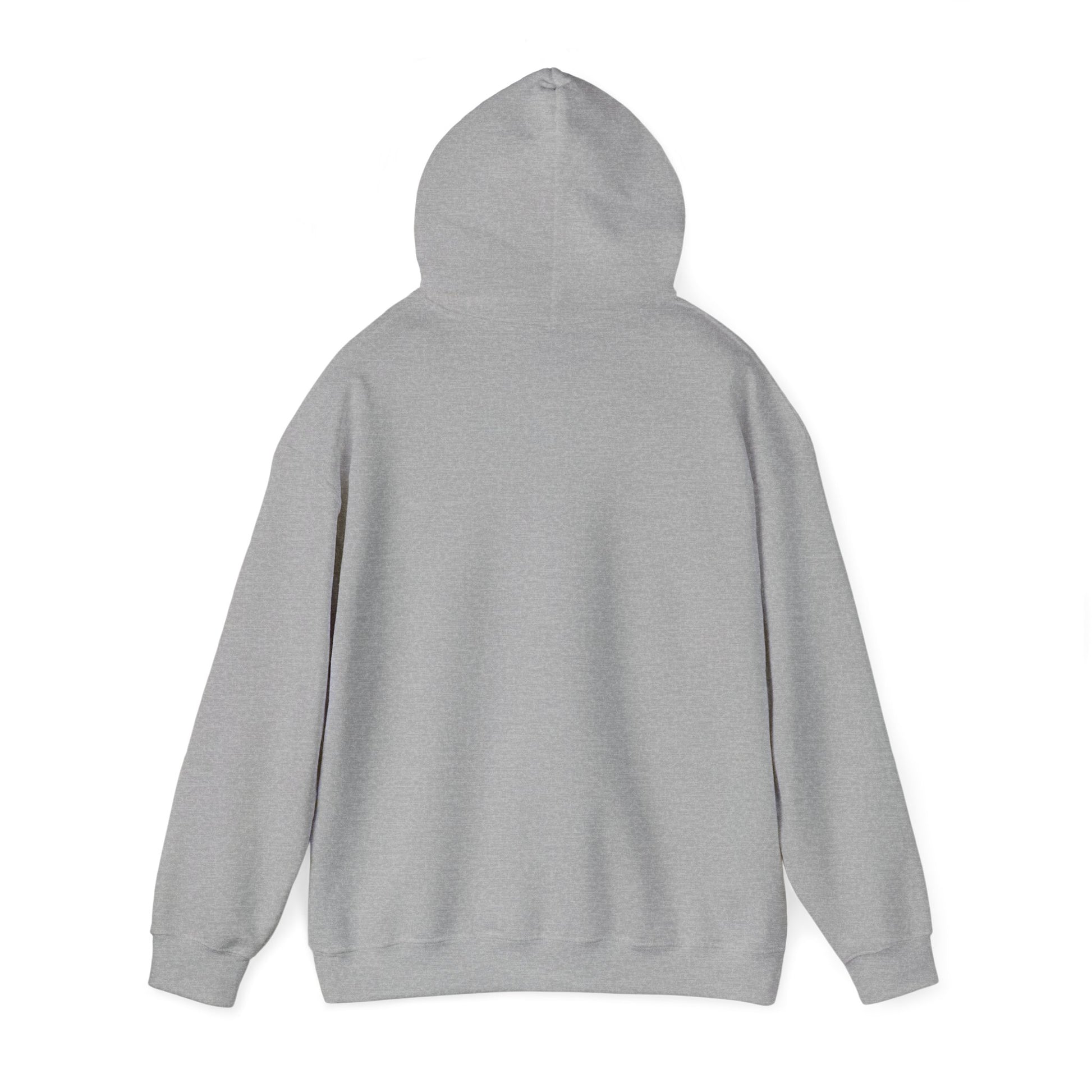 Faith Over Fear Unisex Hooded Sweatshirt - Inspirational Casual Wear - GULLYDESIGN