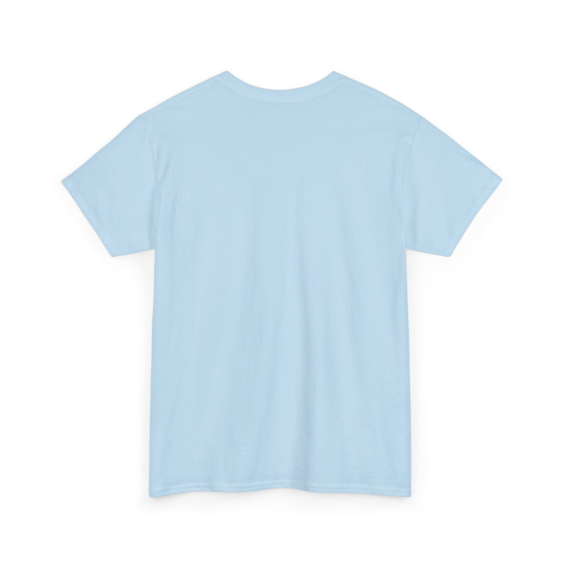 Inspirational Unisex Heavy Cotton Tee - 'Be The Light' Matthew 5:14 - GULLYDESIGN