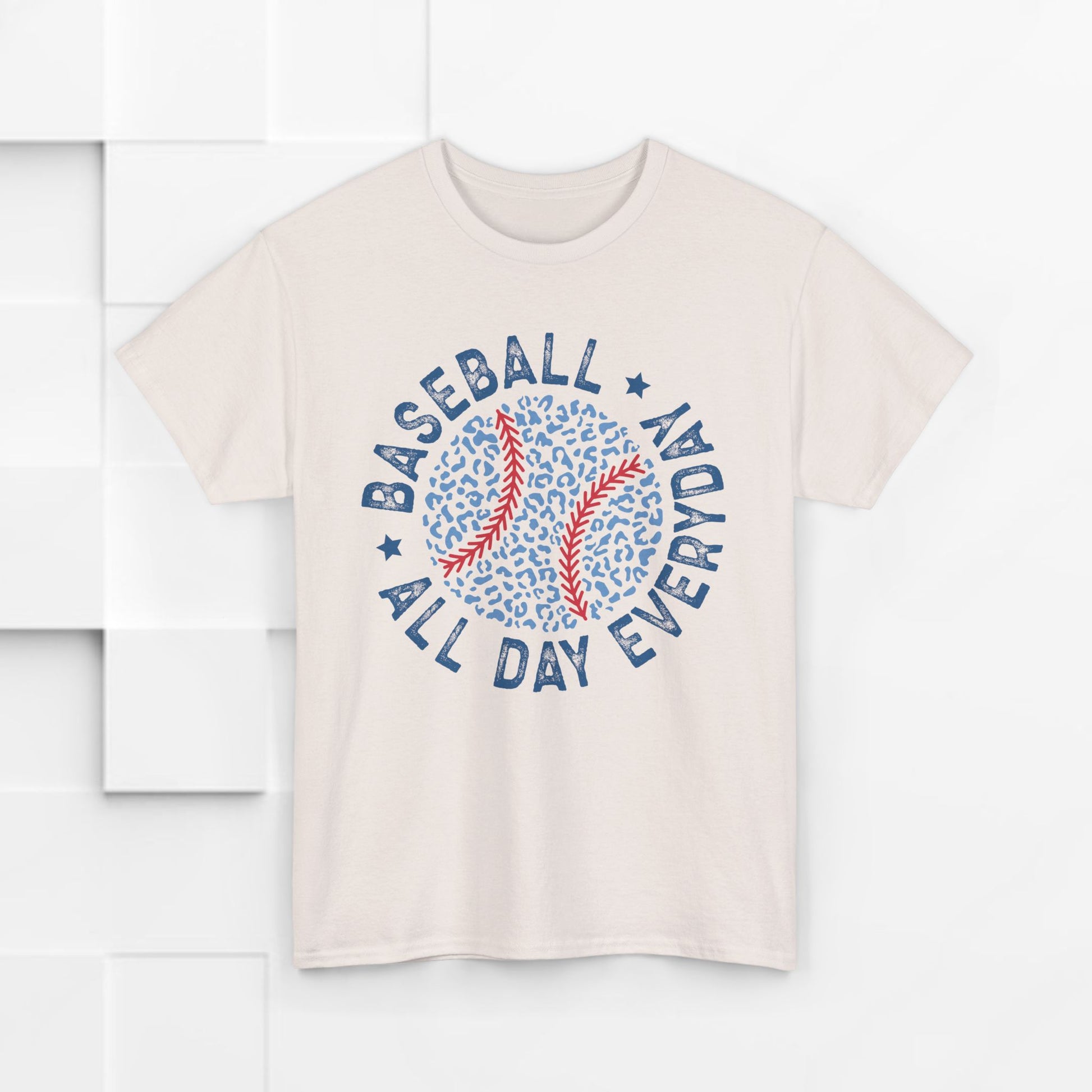 Baseball All Day Everyday Unisex Heavy Cotton Tee - GULLYDESIGN