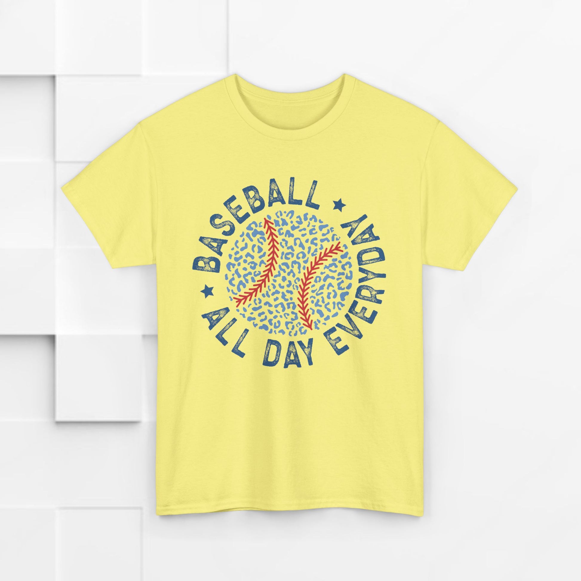 Baseball All Day Everyday Unisex Heavy Cotton Tee - GULLYDESIGN