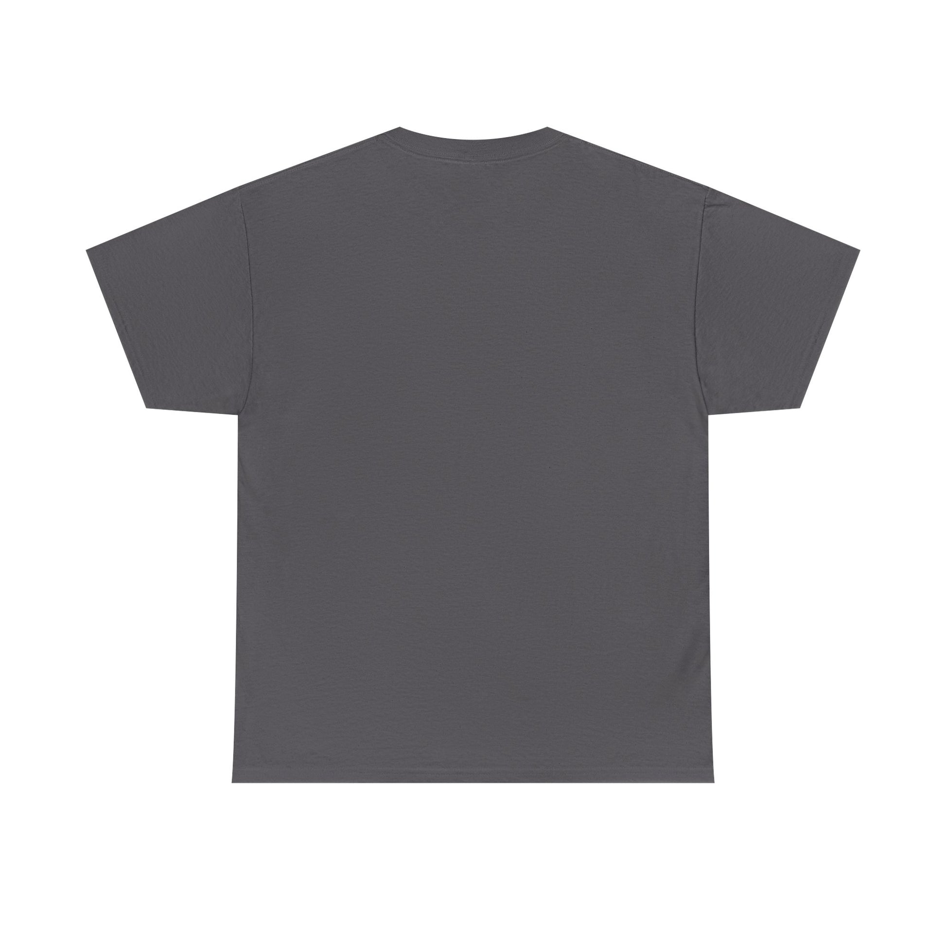 Moments Remembrance Unisex Heavy Cotton Tee - Inspirational Graphic Shirt - GULLYDESIGN