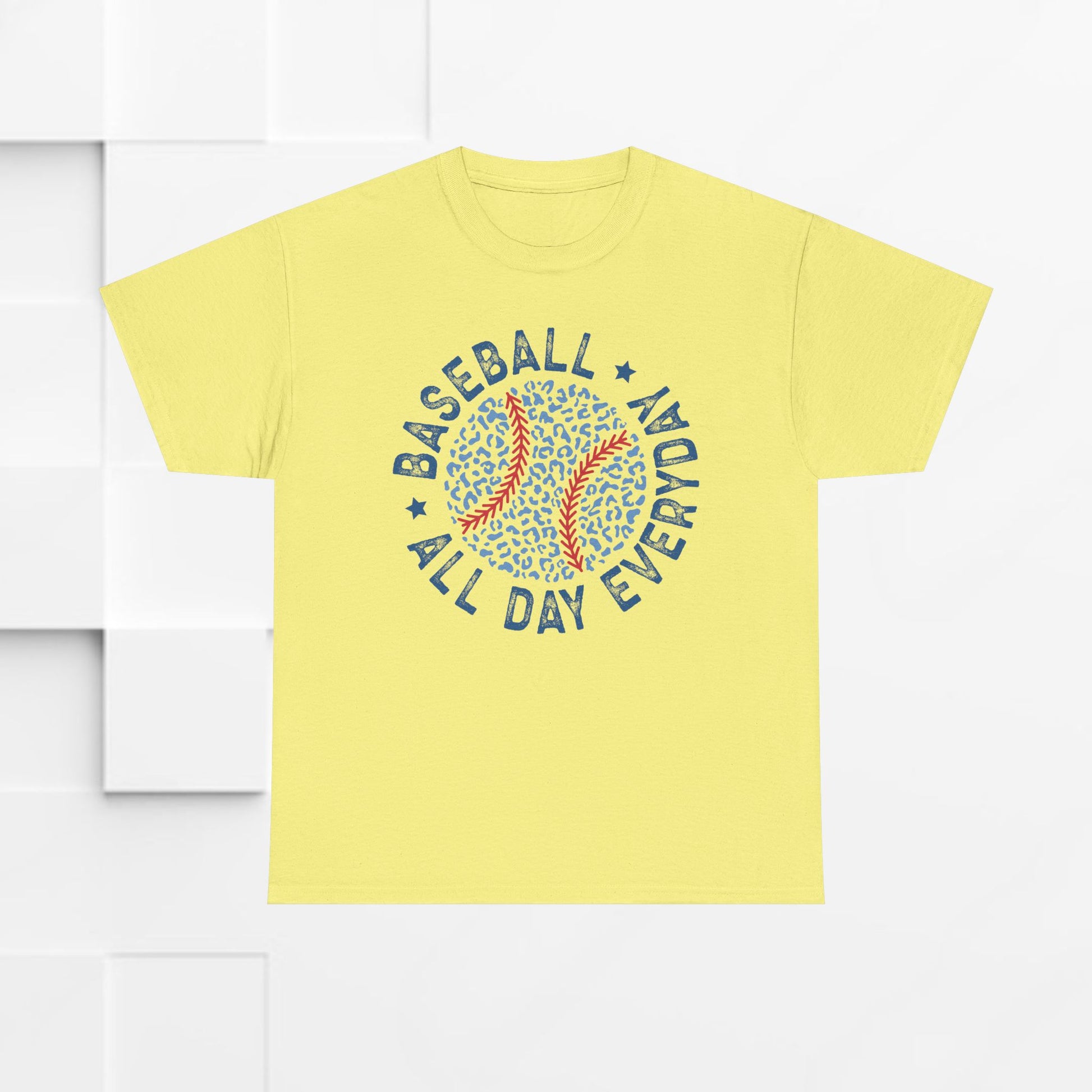 Baseball All Day Everyday Unisex Heavy Cotton Tee - GULLYDESIGN