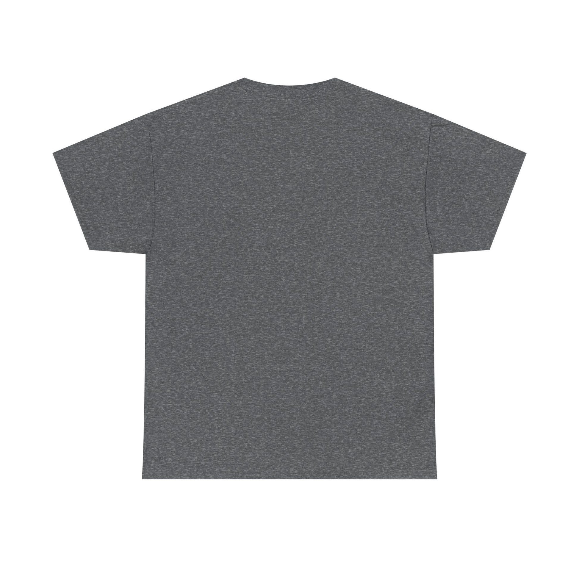 Moments Remembrance Unisex Heavy Cotton Tee - Inspirational Graphic Shirt - GULLYDESIGN