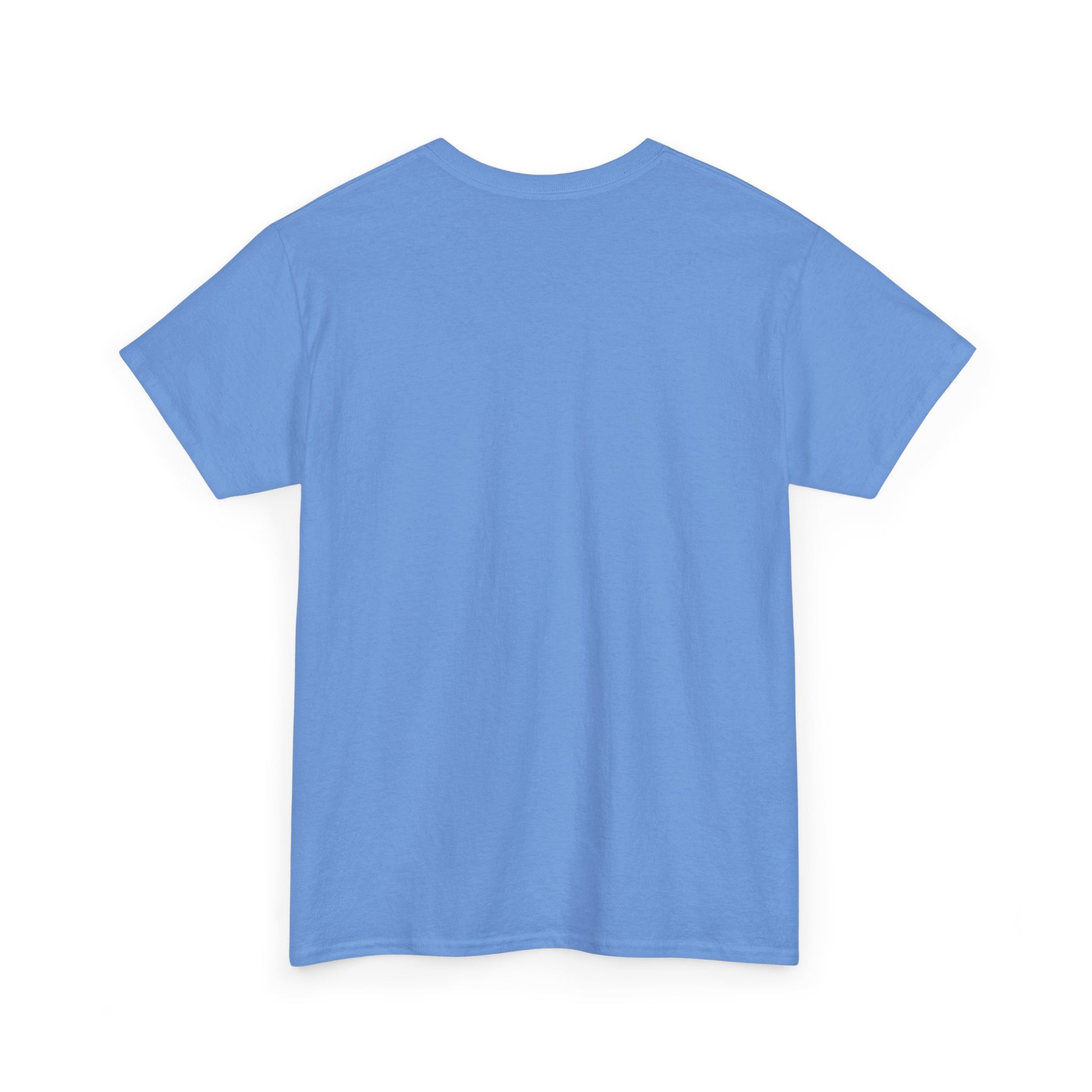 Inspirational Unisex Heavy Cotton Tee - 'Be The Light' Matthew 5:14 - GULLYDESIGN